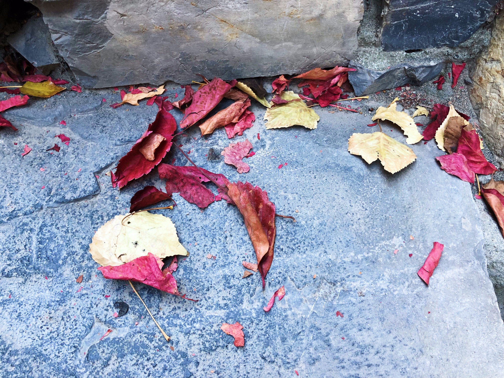 【北镇图片】周末的冬天，小游古水北镇