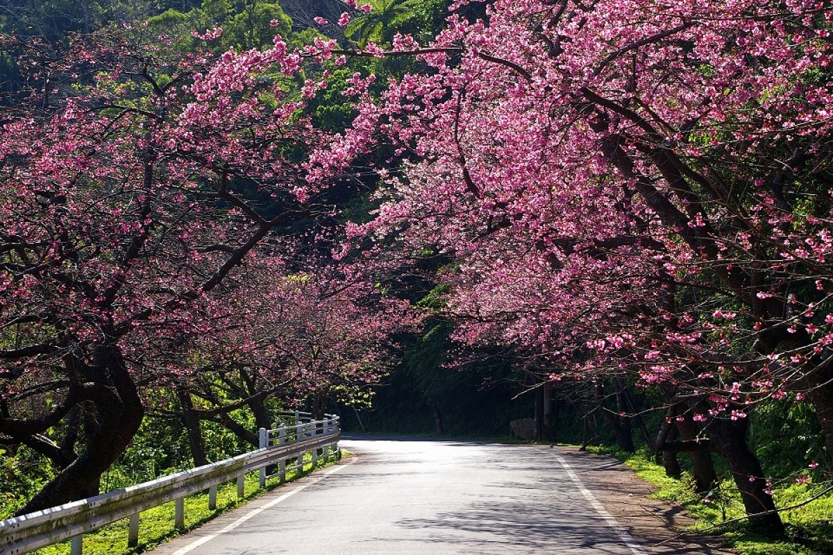 潜派旅行