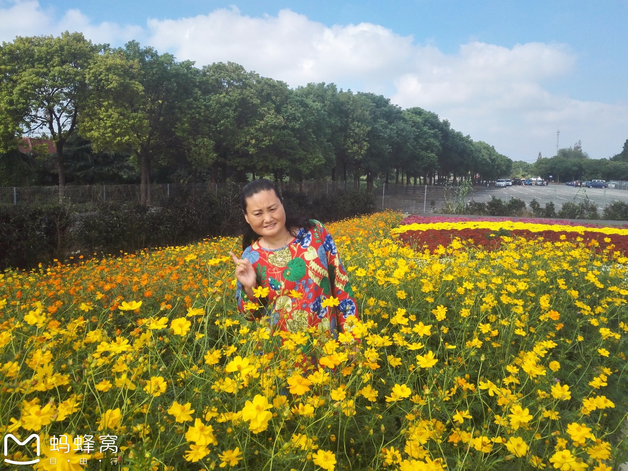 国庆上海（二）川沙公园  松江菊花文化节