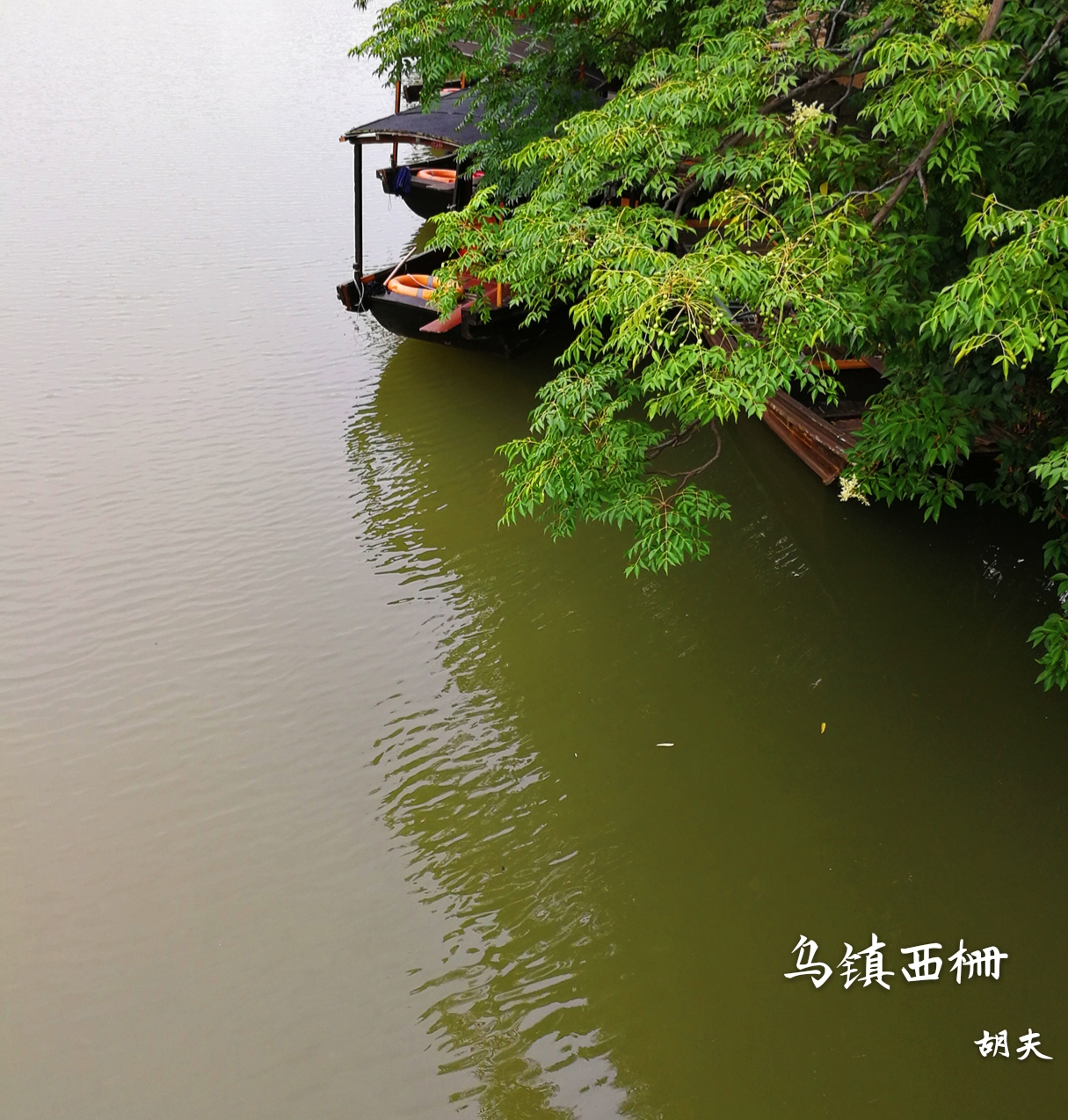 它所散发出的灵秀和独特的情韵让我深深着迷。_游记