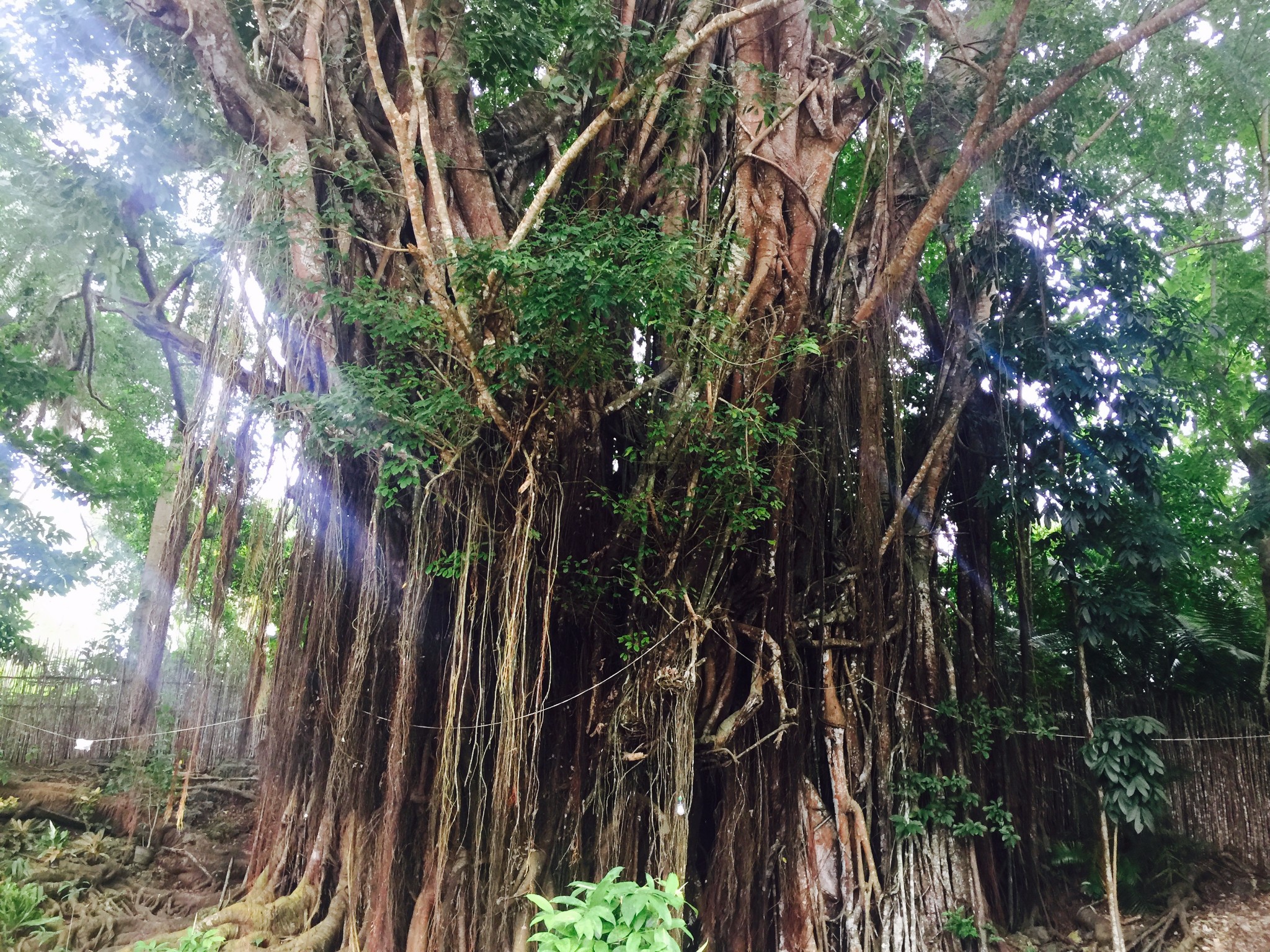 潜派旅行