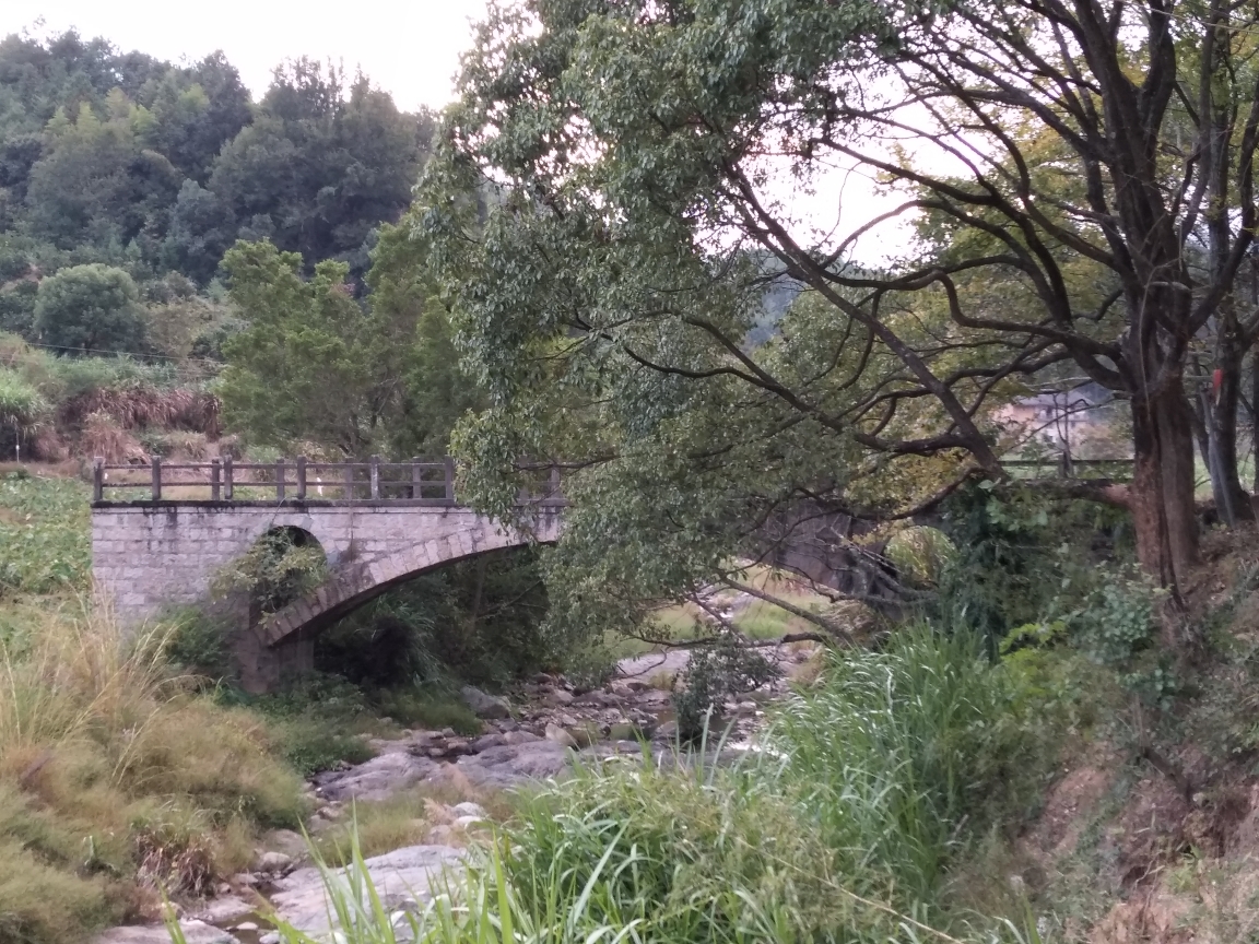 闽清樟洋村马洋村游记