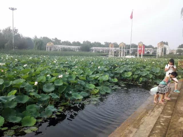 自驾顺义潮白河公园，一个人少景美还洗肺的公...