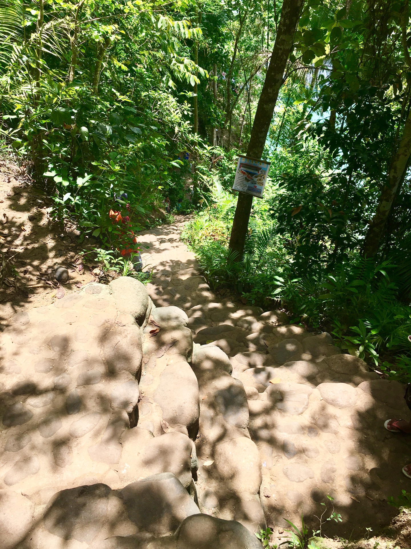 潜派旅行