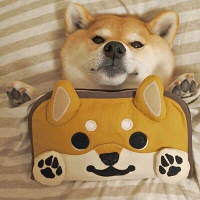 Haru