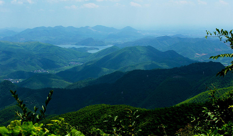 ·莫干山全景