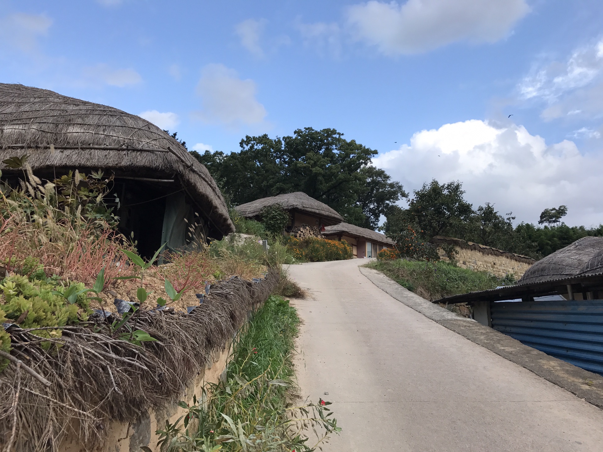 秋意正浓乡村游，오랜만이다，한국——没有血拼的首尔、庆州、釜山行_游记
