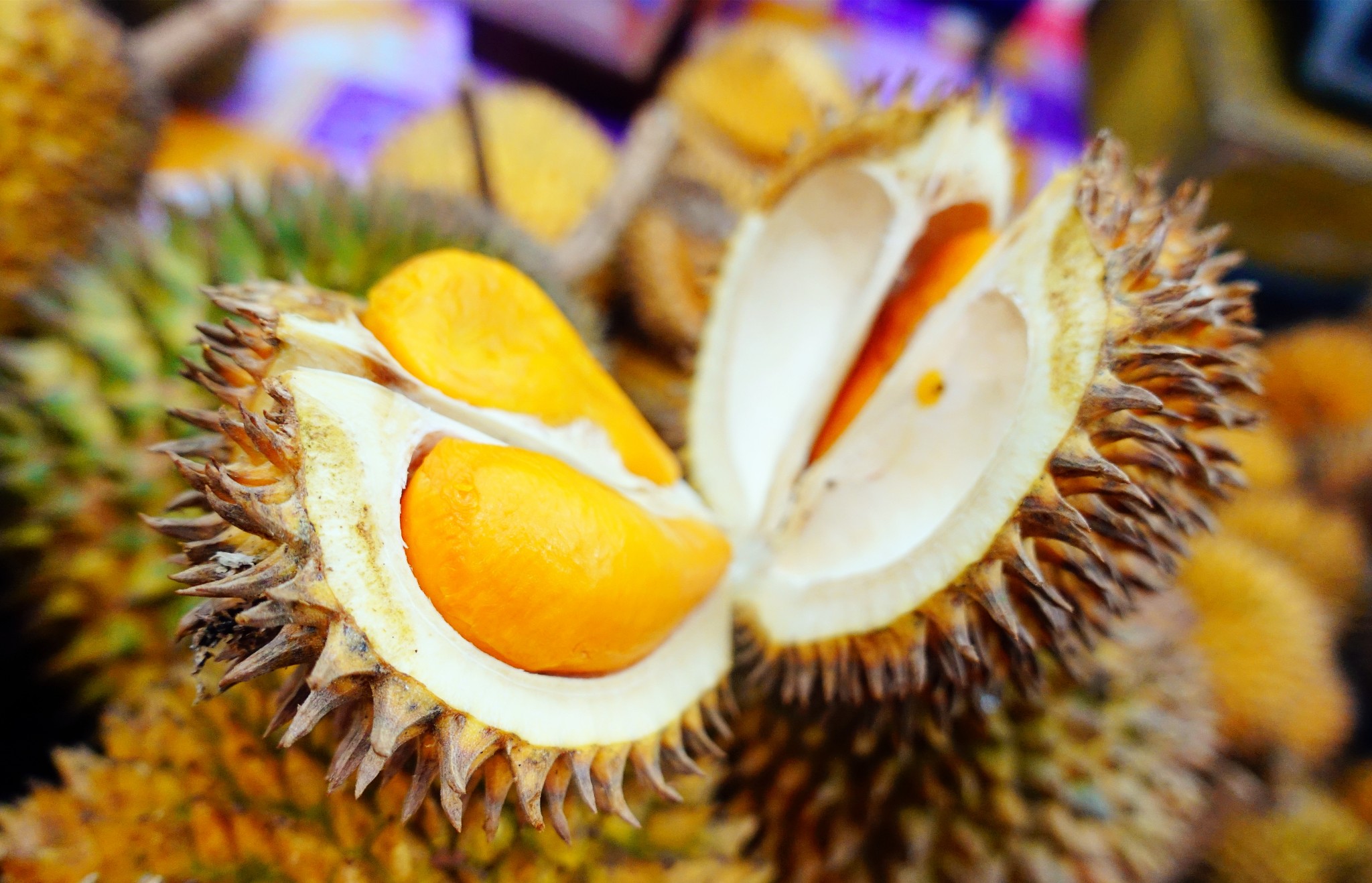 背包游文莱~~~~斯里巴加湾_游记