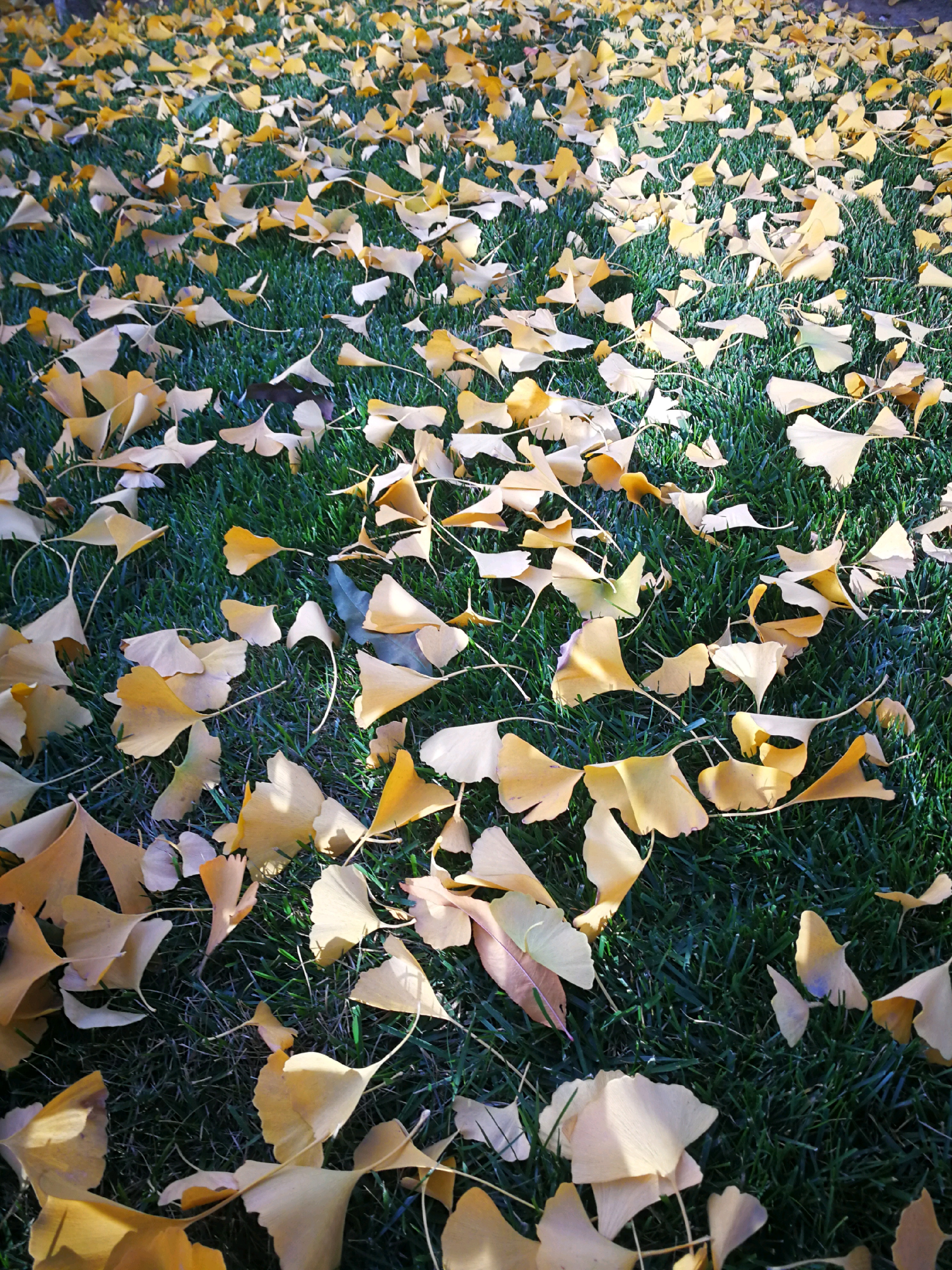 北京娱乐-coffee bar