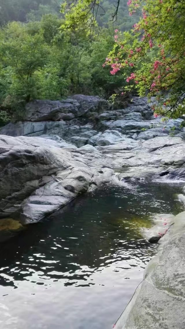 扬州户外徒步——金寨县马鬃岭原始森林,金寨旅游攻略