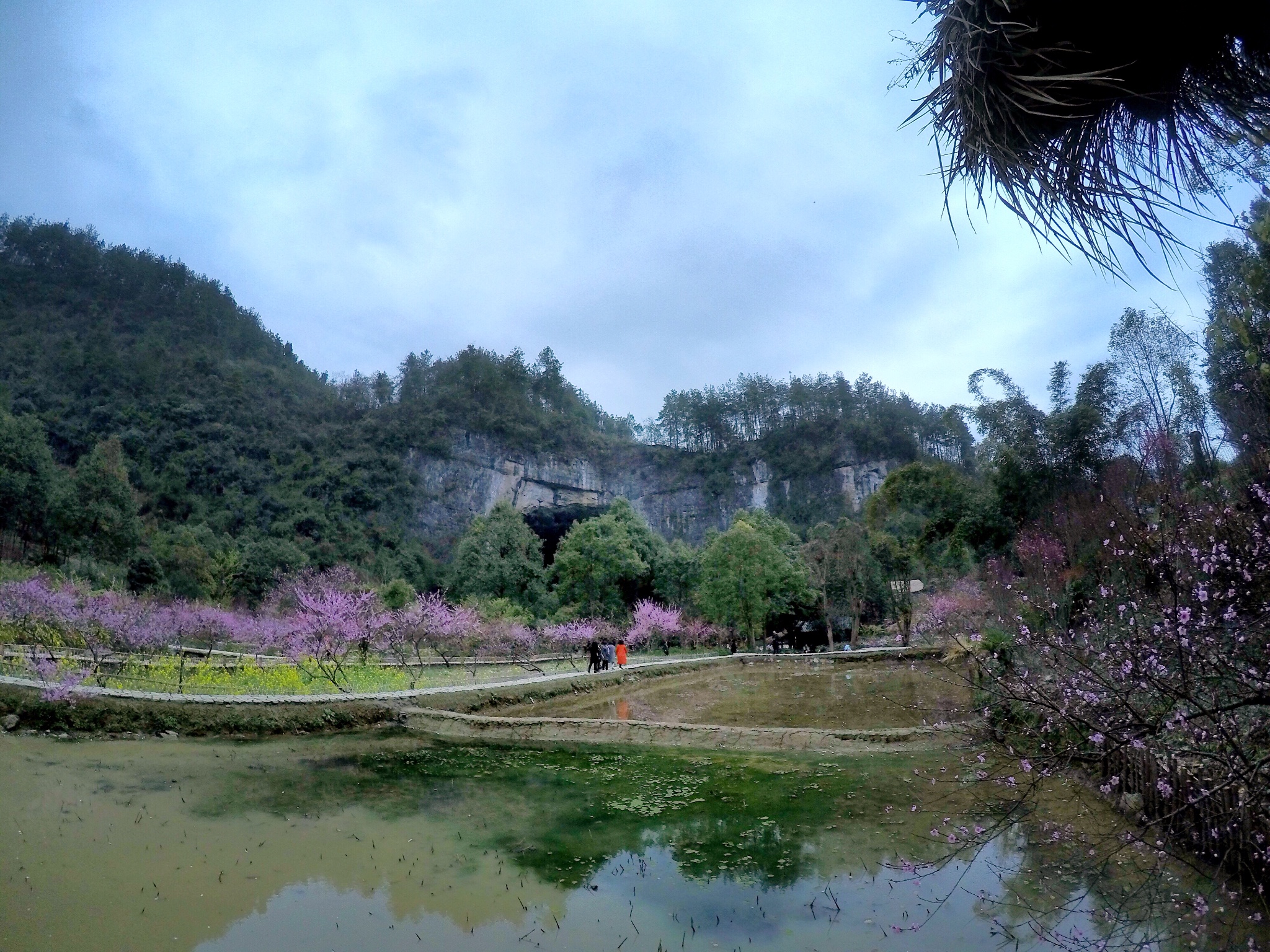 酉阳桃花源景区        