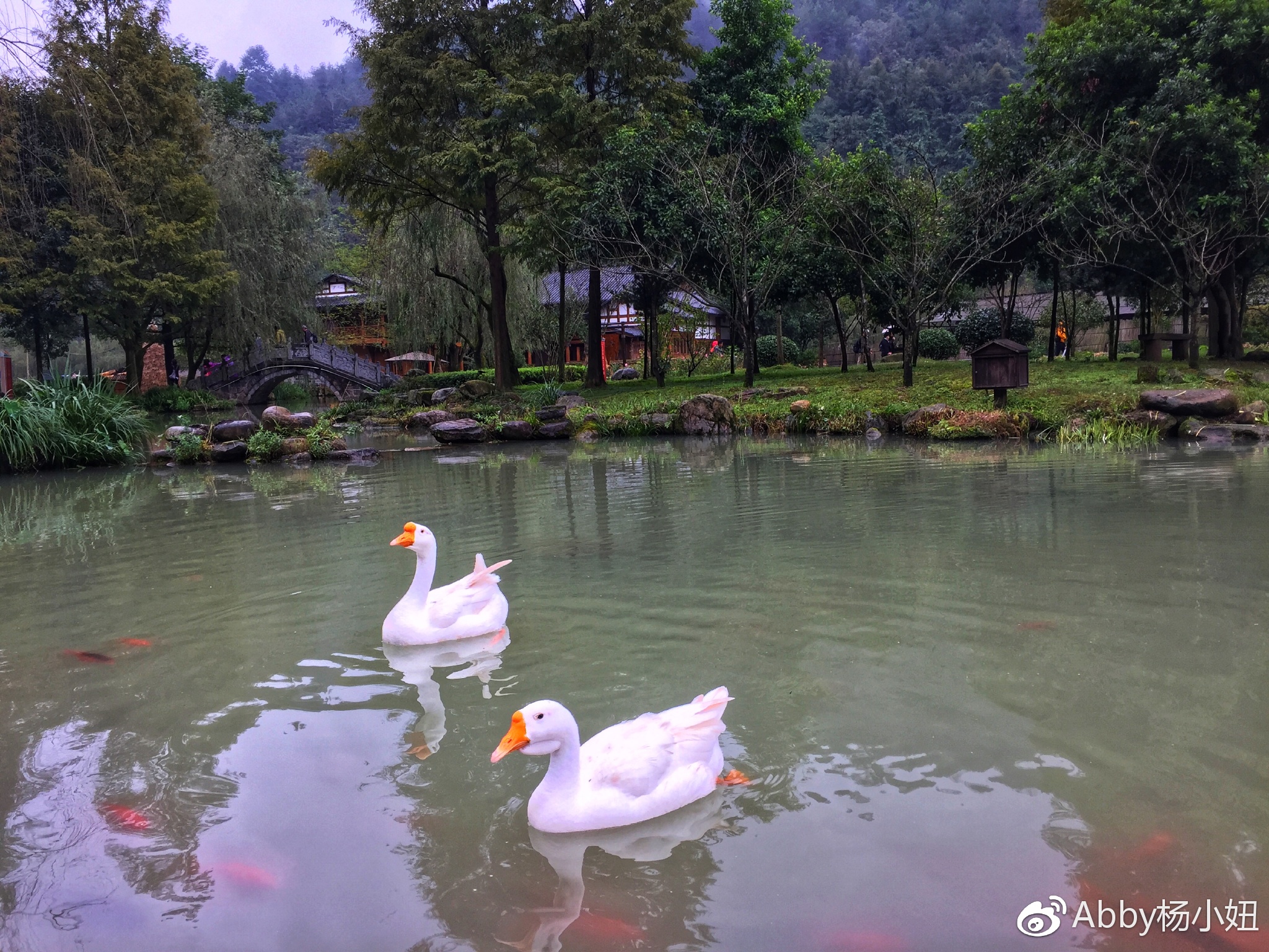 《浣溪沙·过黄龙洞生态广场》庄灿煌