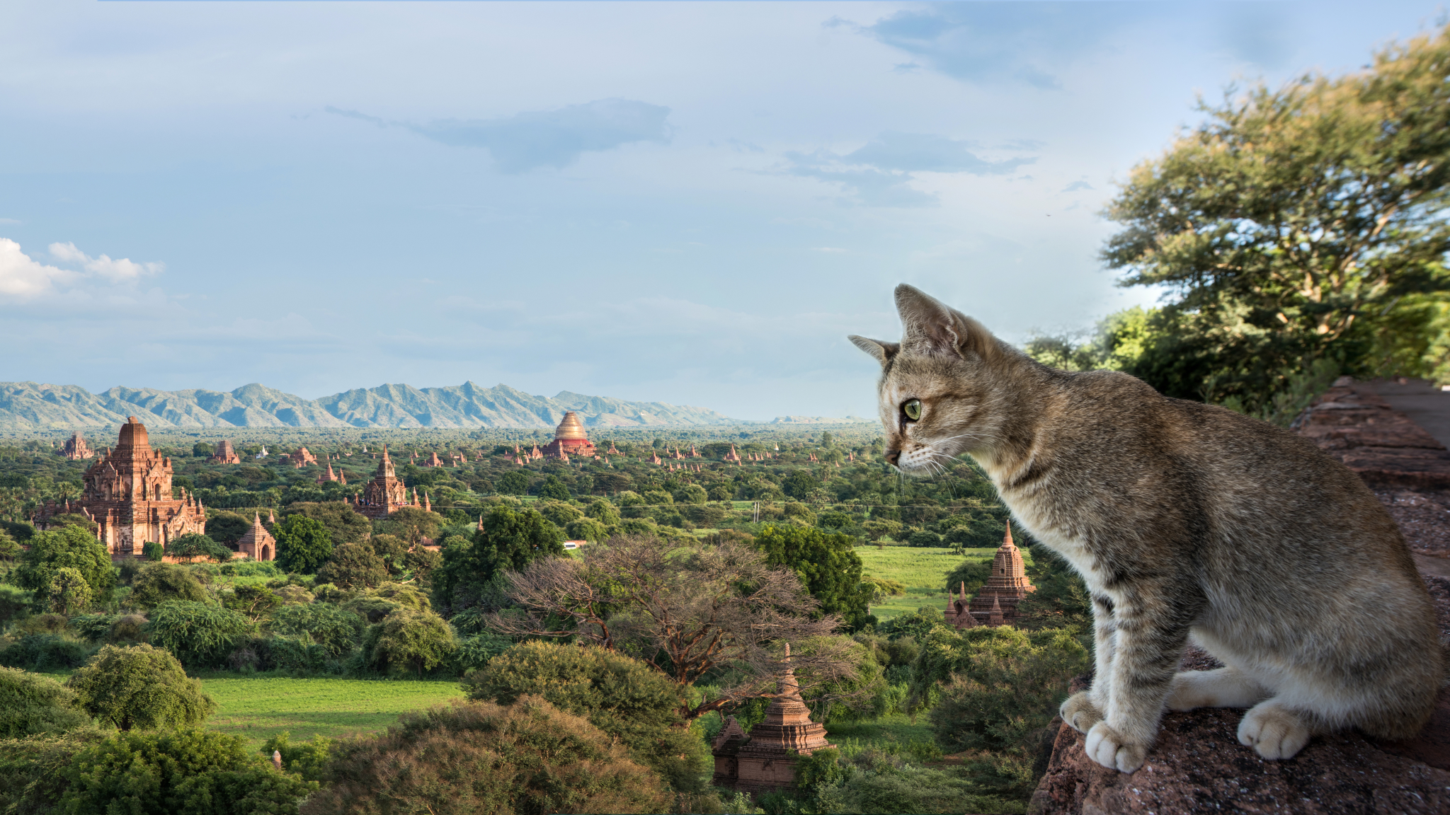 不在微弱，只要有光。仰光，蒲甘，曼德勒。_游记