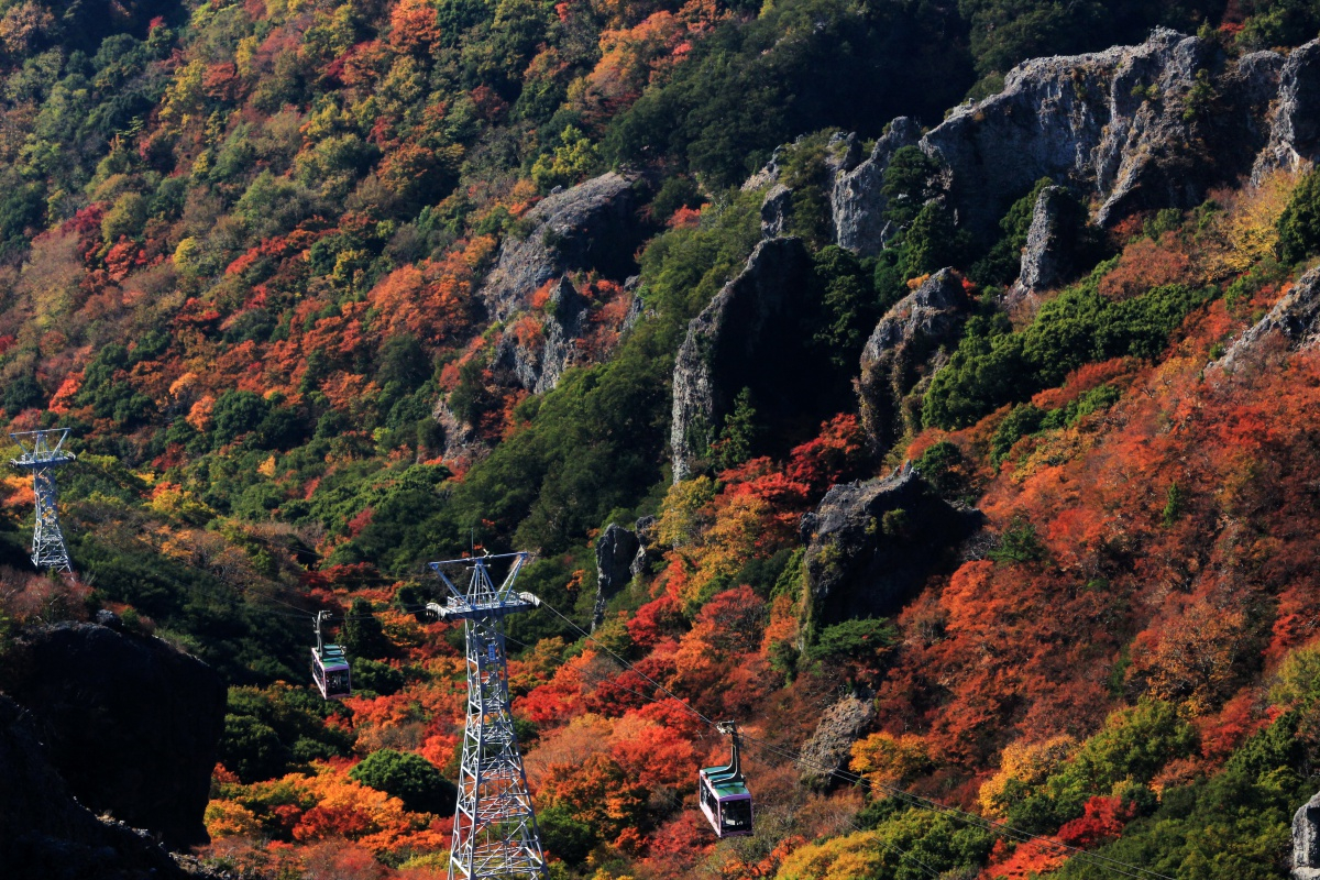 潜派旅行