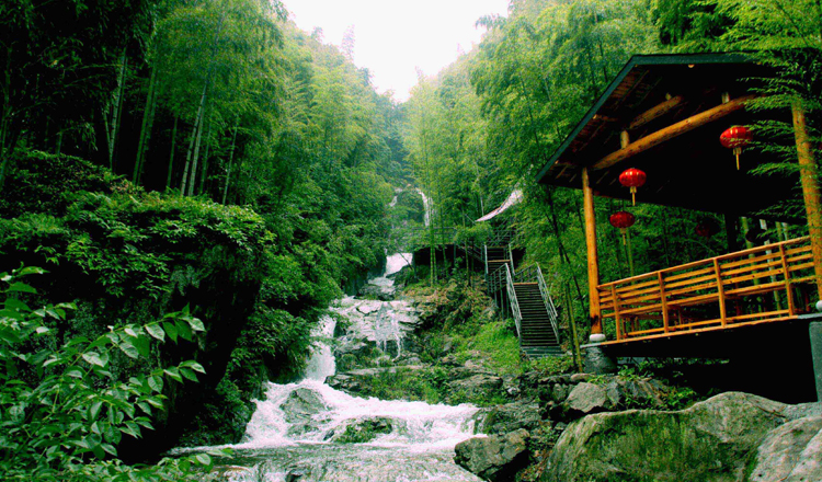 浙江湖州安吉中国大竹海景区门票电子票 ( 卧虎藏龙拍摄地)