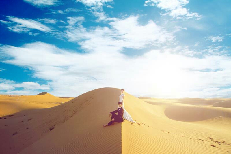 去沙漠拍婚纱_沙漠骆驼图片(2)