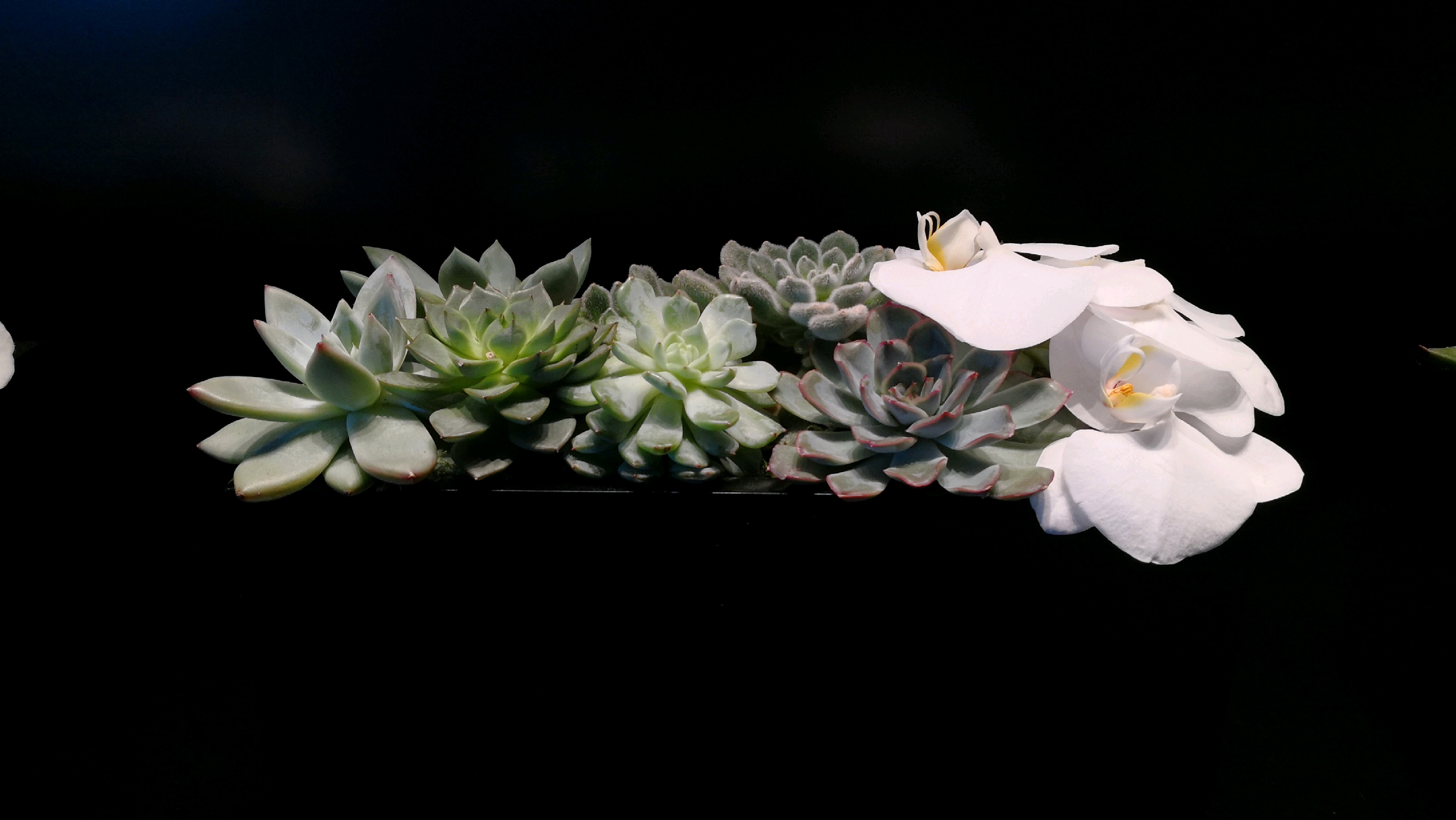 迪拜美食-The Burj Club, Gym