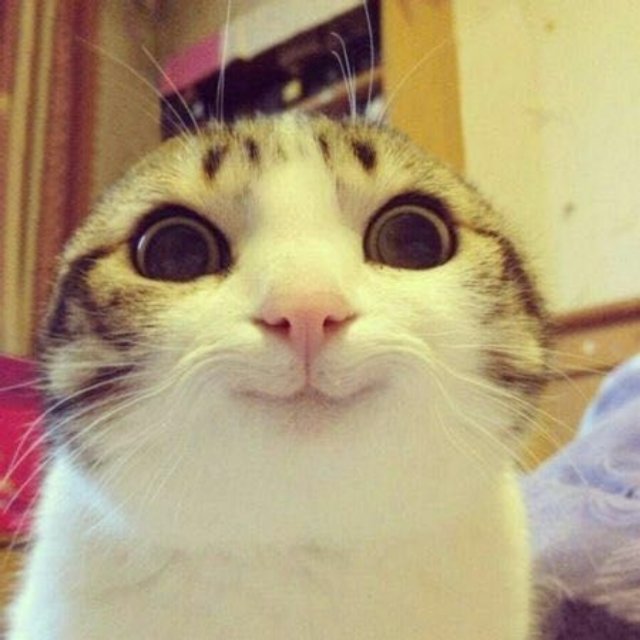 (￣へ￣)