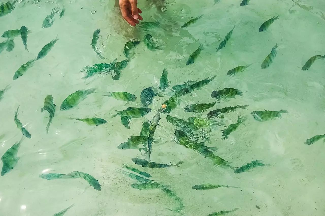 潜派旅行