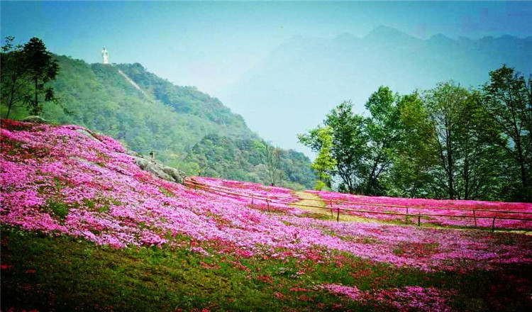 四川绵阳 药王谷风景区门票