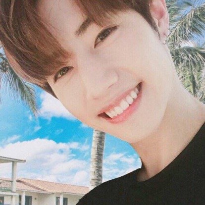 宜嘉粑粑的姨母