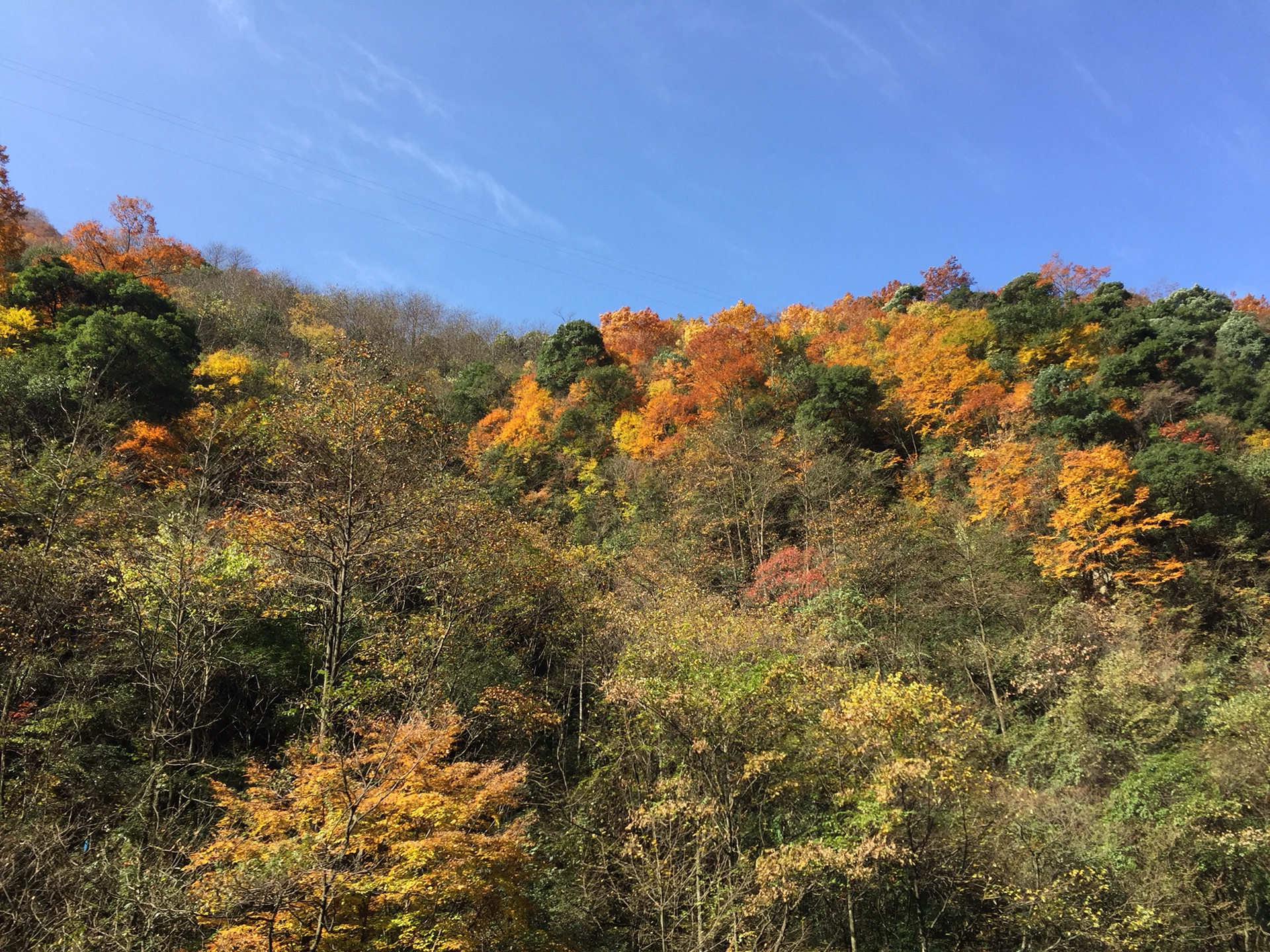 五彩的巴中光雾山,巴中自助游攻略 - 马蜂窝