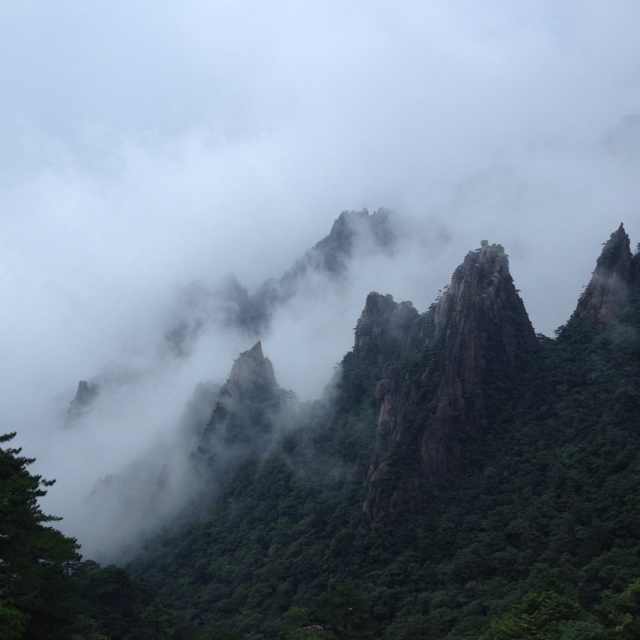 烟雨