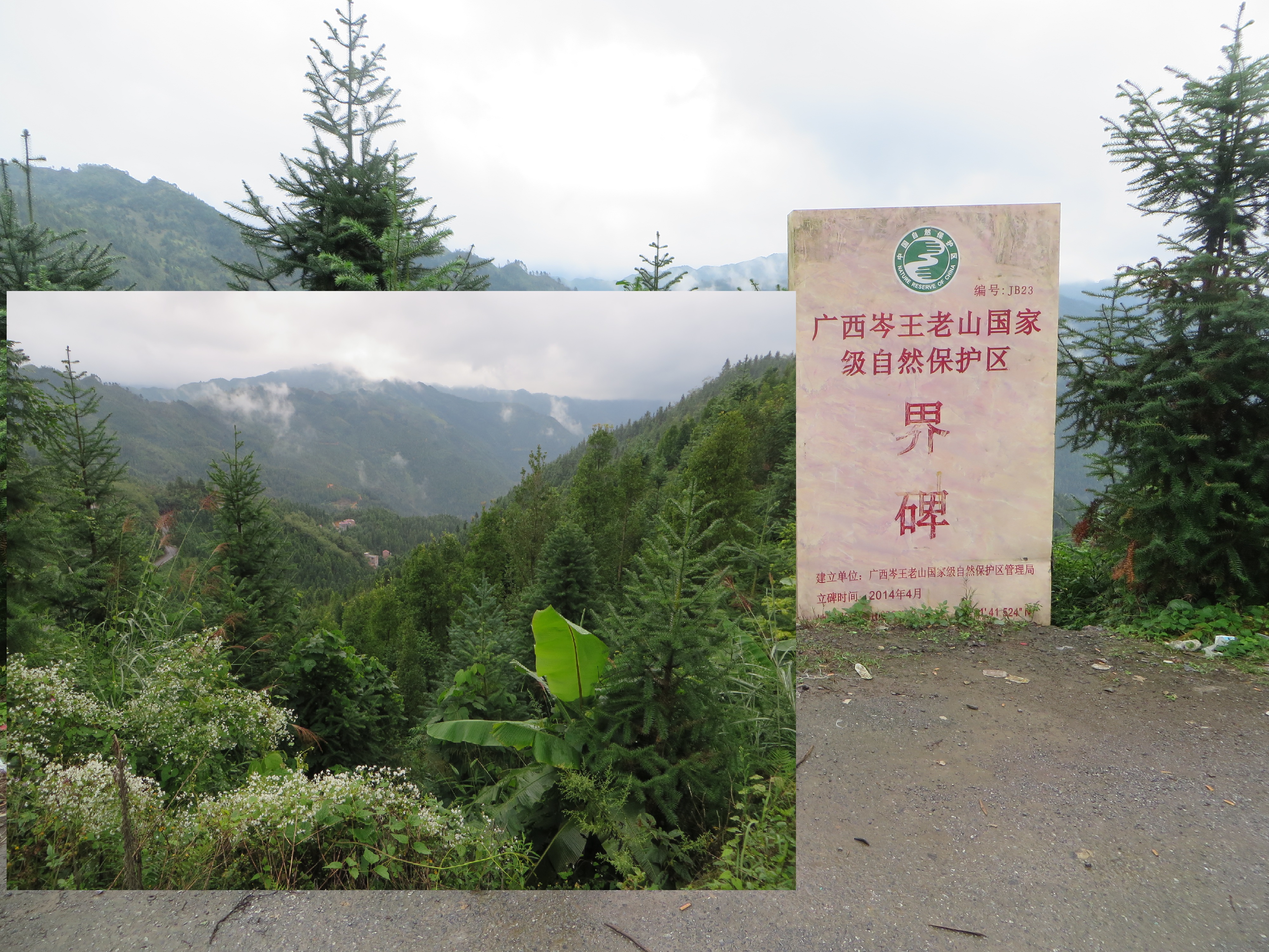 武夷山到田林县旅游