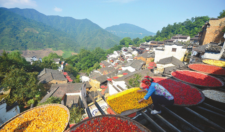 江西婺源篁岭风景区电子票(含景区往返缆车或景交车)