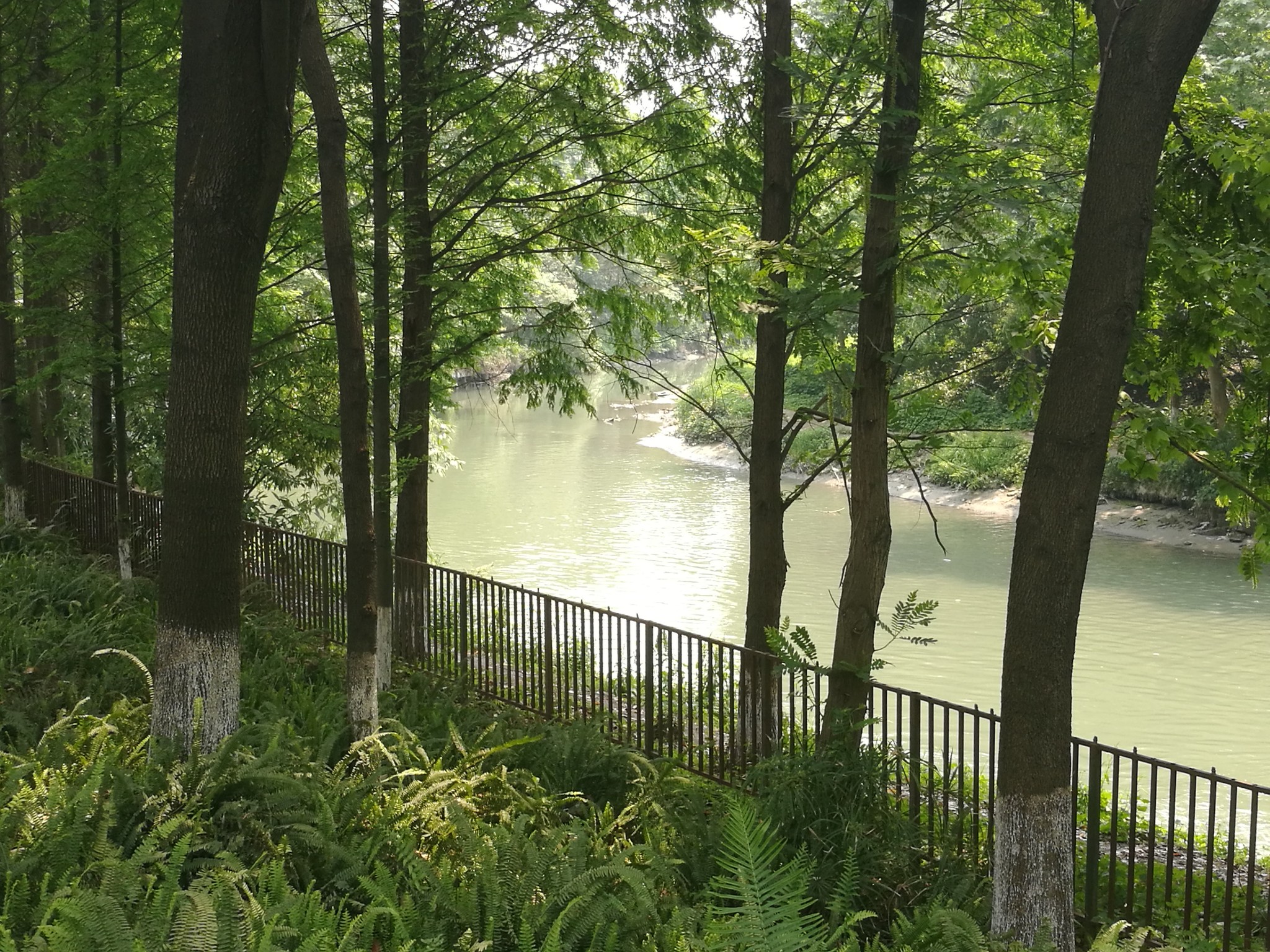 成都升仙湖和沙河景观