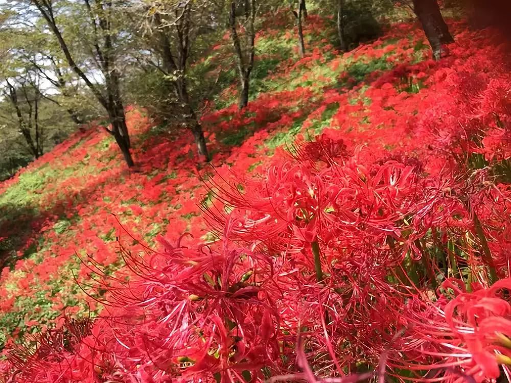 潜派旅行