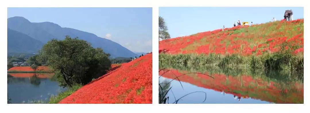 潜派旅行