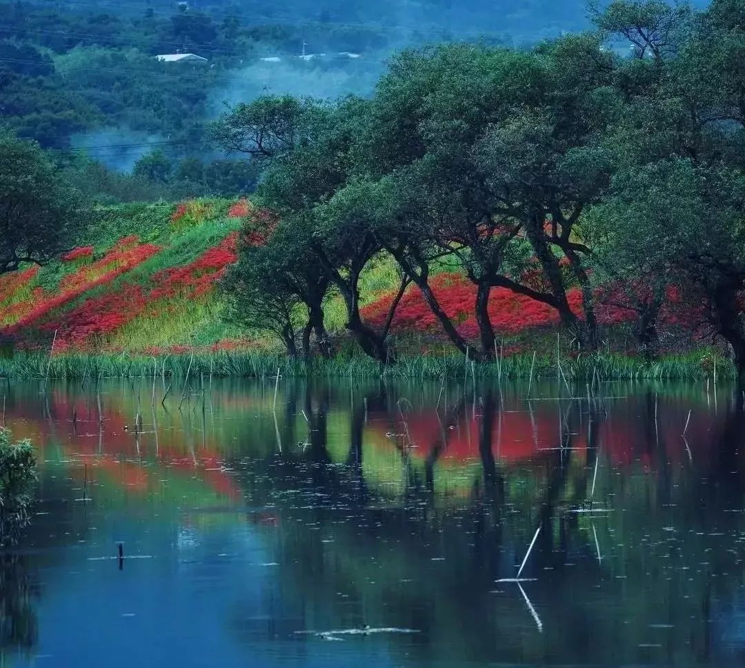 潜派旅行