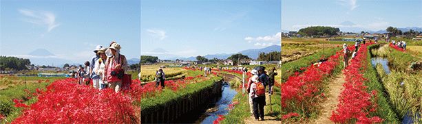 潜派旅行