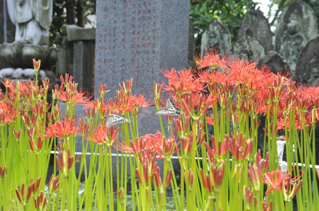 潜派旅行