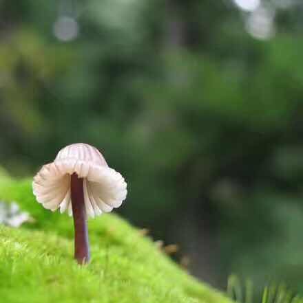 带着阔阔去吹风