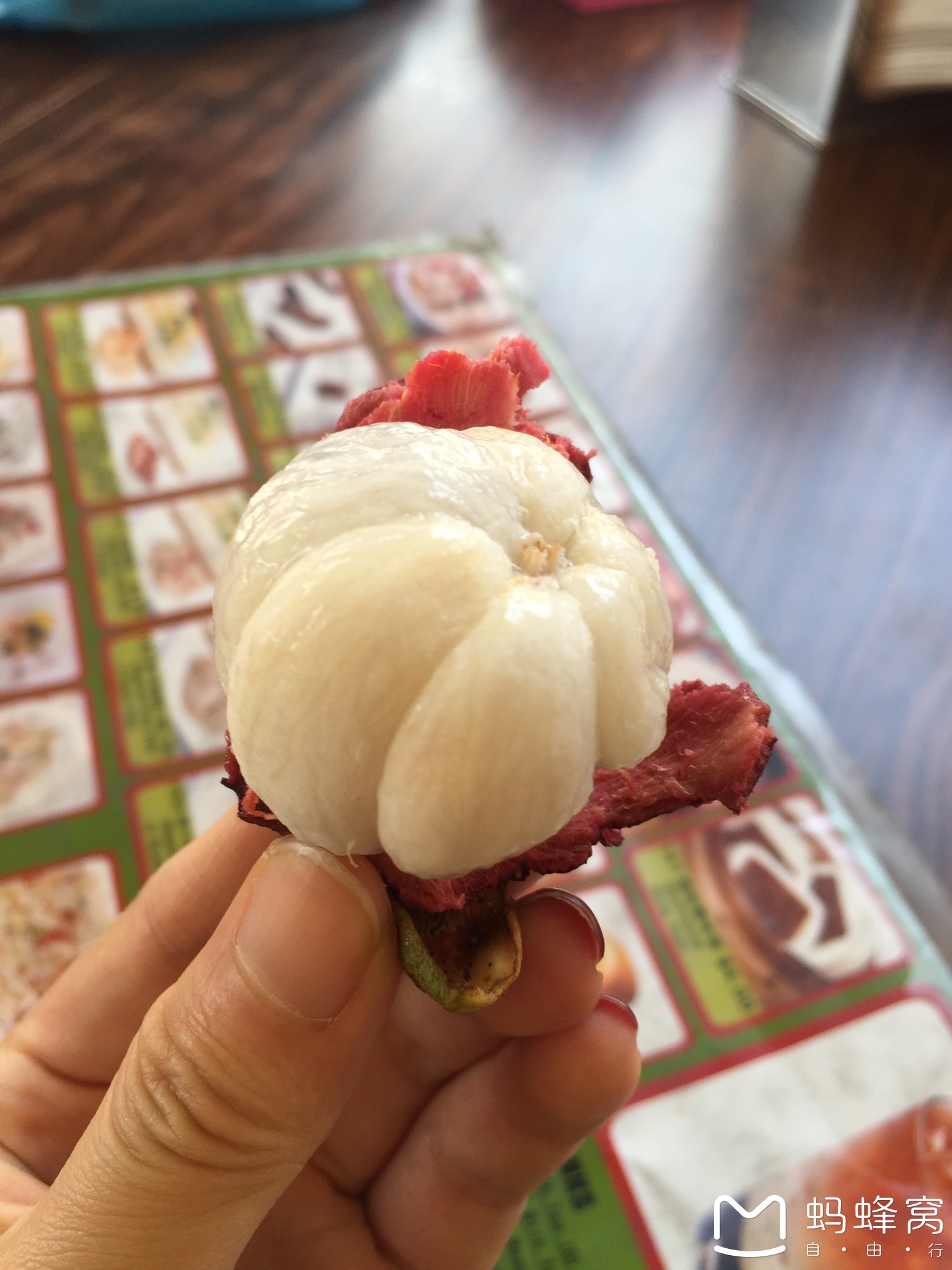 芽笼美食-Mongkok Dim Sum @ Geylang