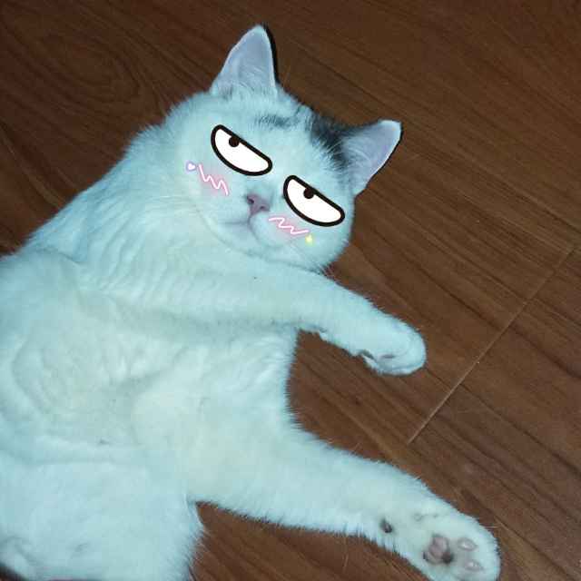多多