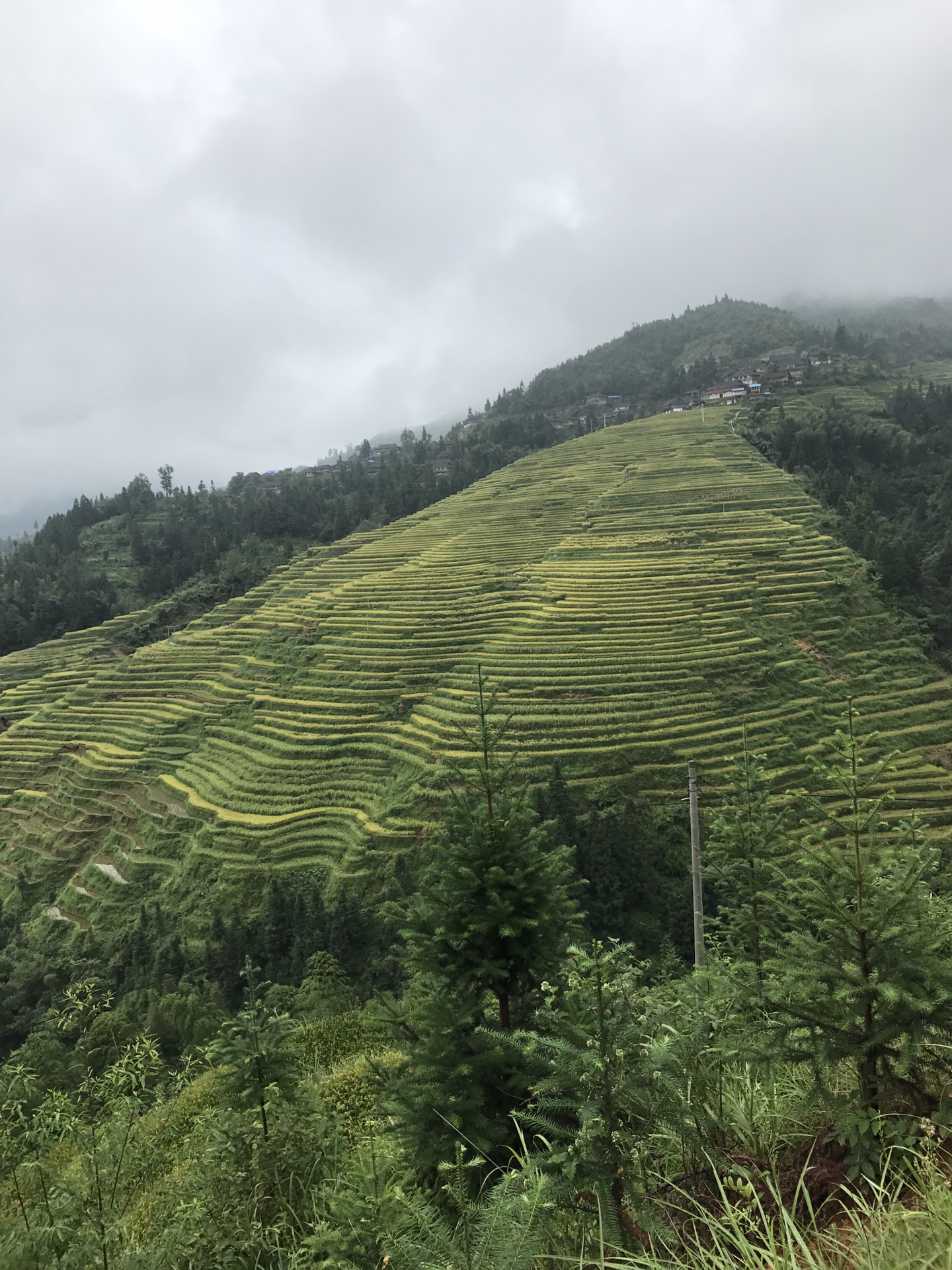 金秋九月去从江崇山峻岭之间，探访贵州最美梯田