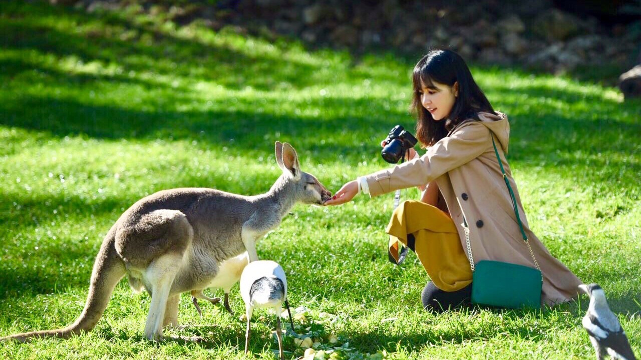 【南澳大利亚】唯美景，美酒，美食，不可辜负_游记