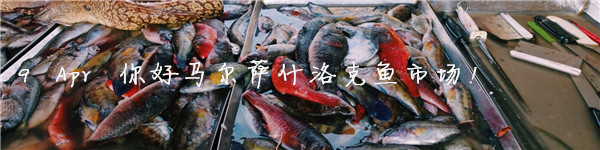 9 Apr 你好马尔萨什洛克鱼市场！