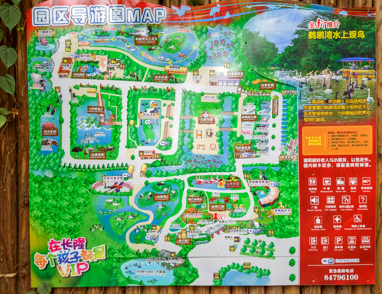 广州长隆乐园的沧海遗珠:飞鸟乐园