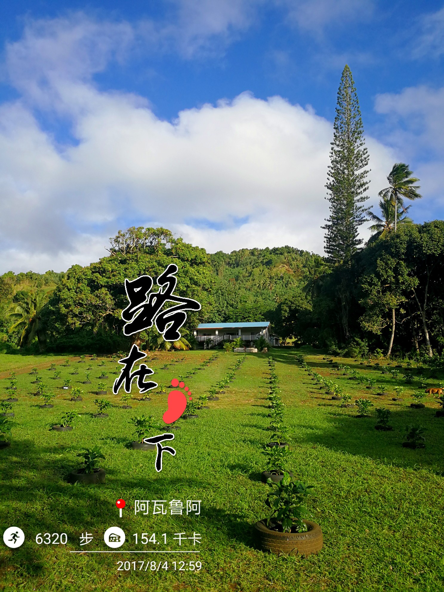 库克群岛风筝冲浪攻略_游记