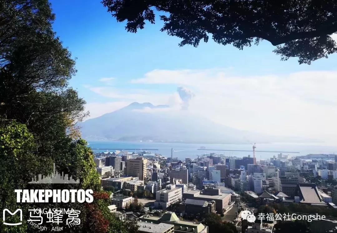 大麦的鹿儿岛 | 三冬俳句，吟赏樱山_游记
