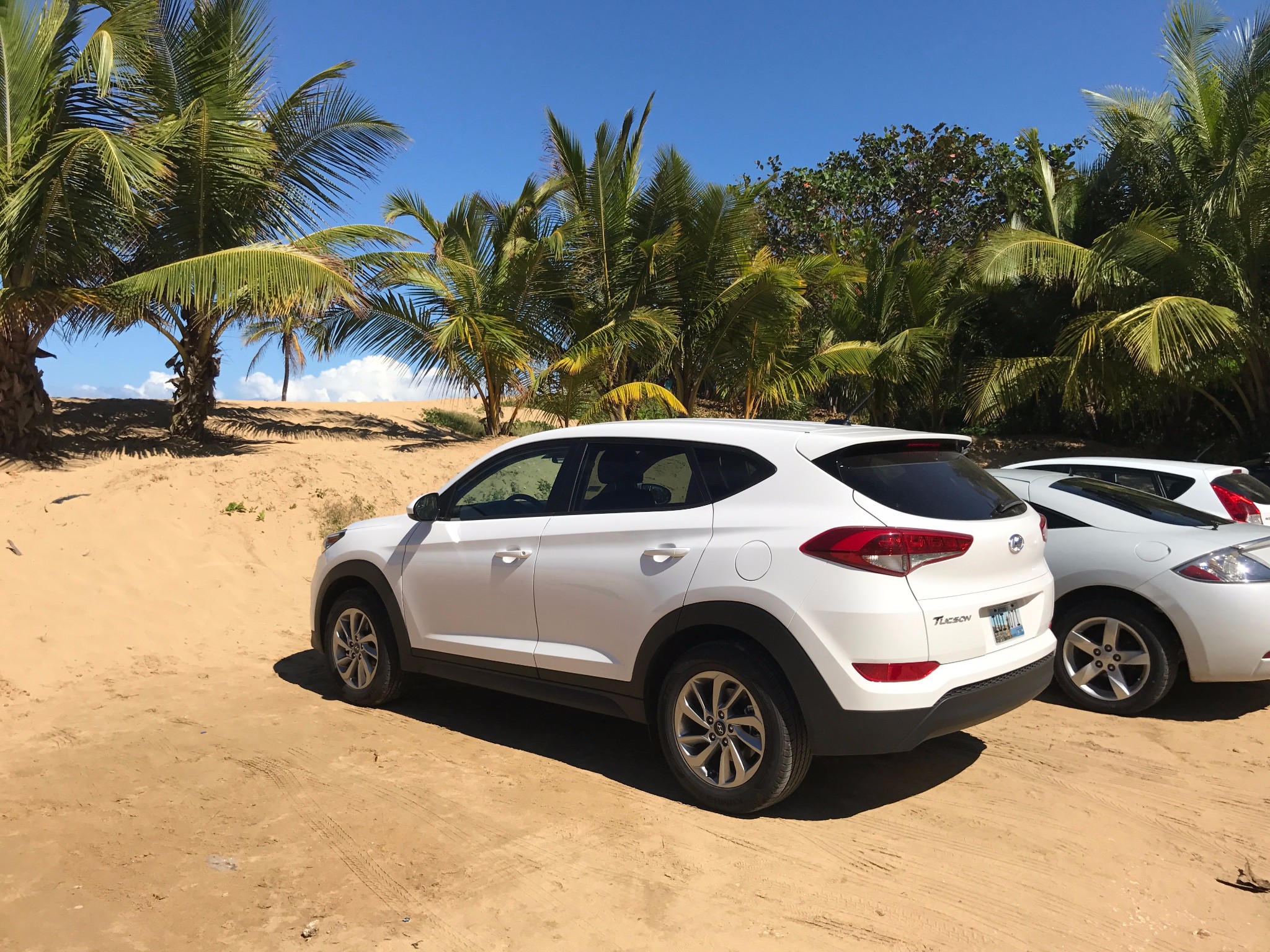 波多黎各Puerto Rico六天自由行_游记