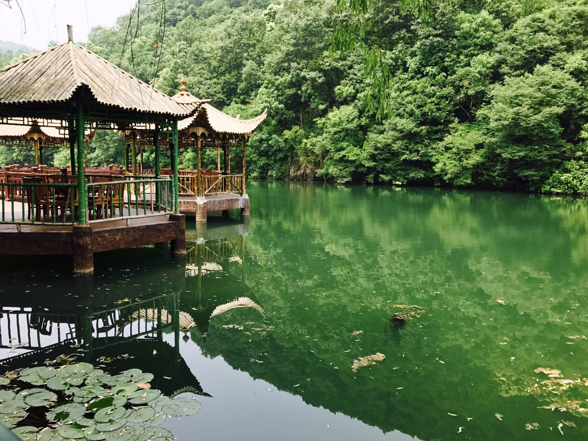 湖北新九寨......京山绿林美人谷