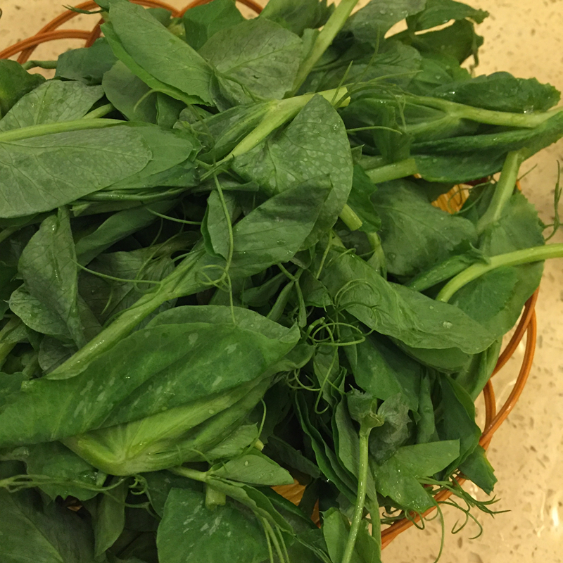 wKgBZ1ivy1mAJFmjAAuUCC2TTOI67.jpeg?imageView2%2F2%2Fw%2F600%2Fh%2F600%2Fq%2F90