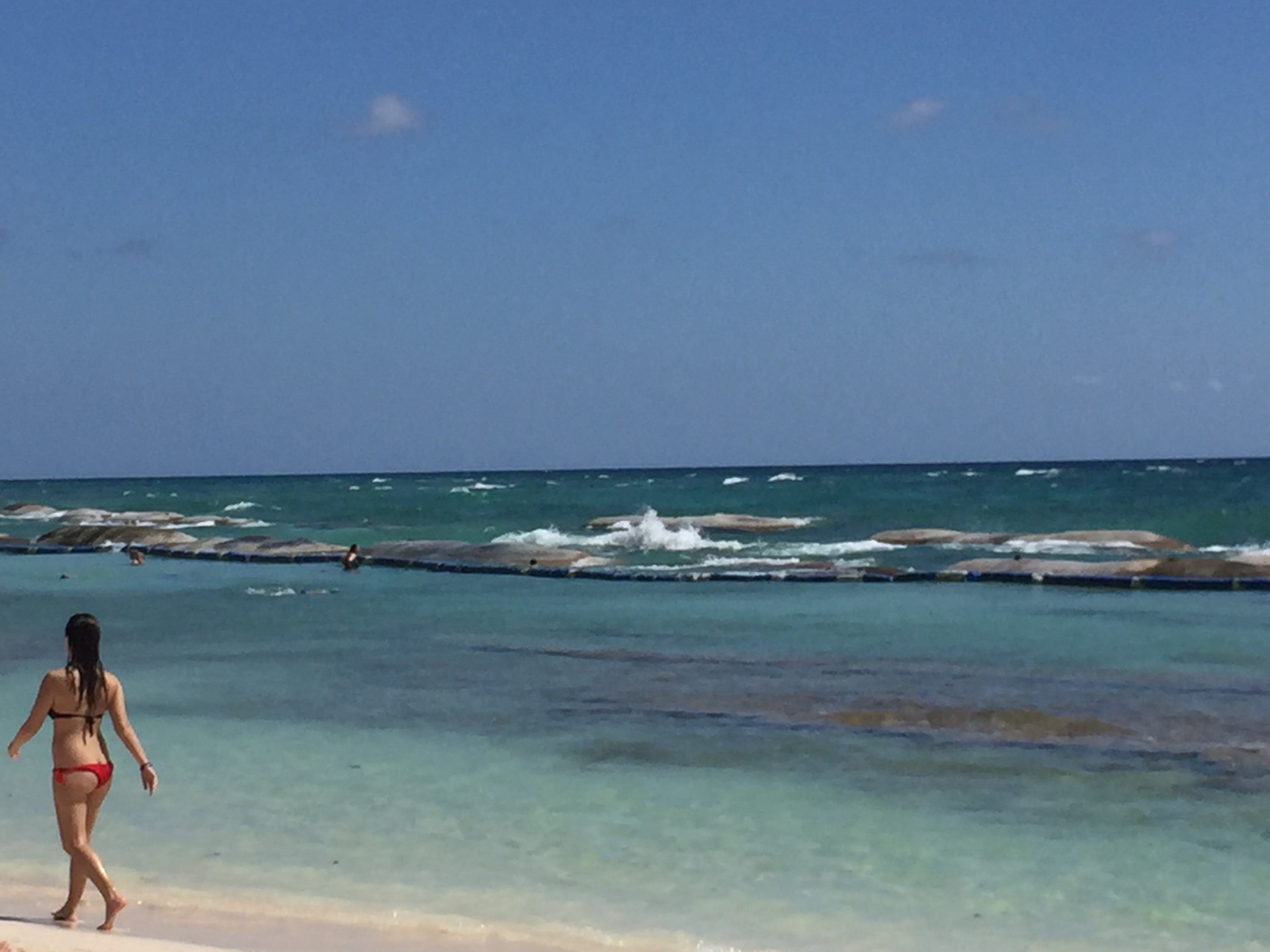 候鸟南飞，只为远方自由湛蓝的王国--墨西哥River Maya亲子游_游记