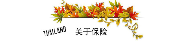 关于保险 关于保险