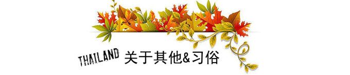 关于其他和习俗 关于其他和习俗
